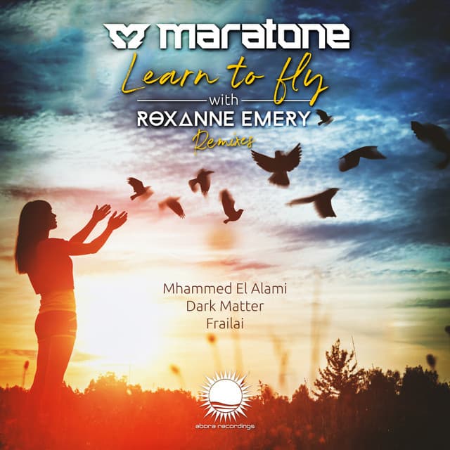 Learn To Fly - Frailai Remix cover art