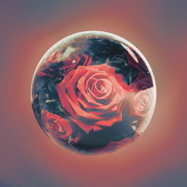 You Are Not Alone (feat. Dear Sara) cover art