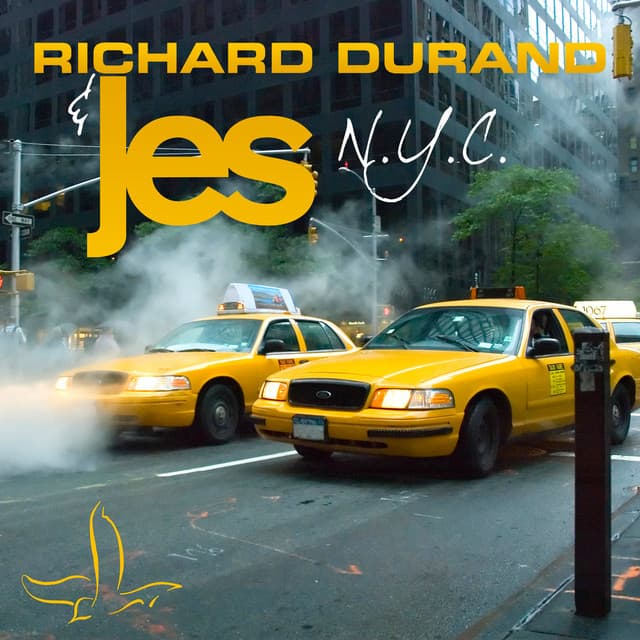 N.Y.C. cover art