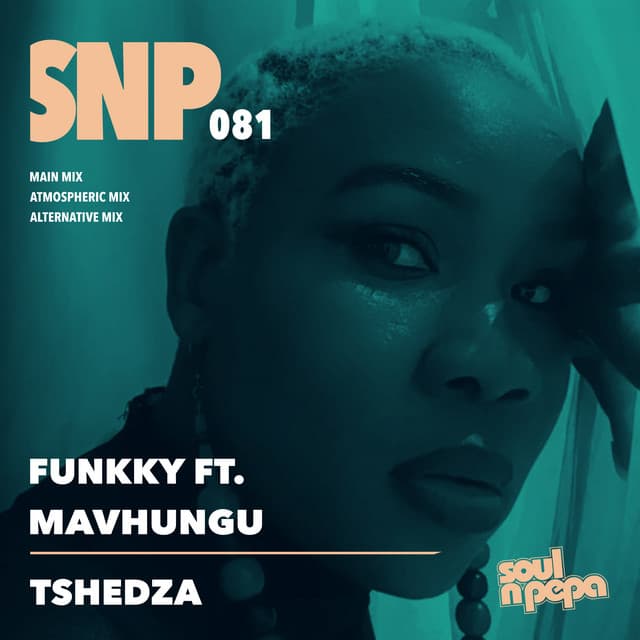 Tshedza - Main Mix cover art