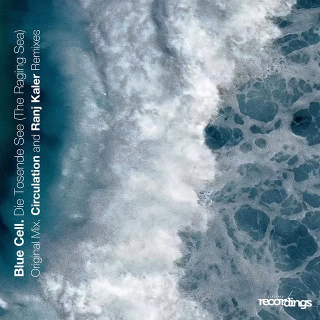 Die Tosende See (The Raging Sea) cover art