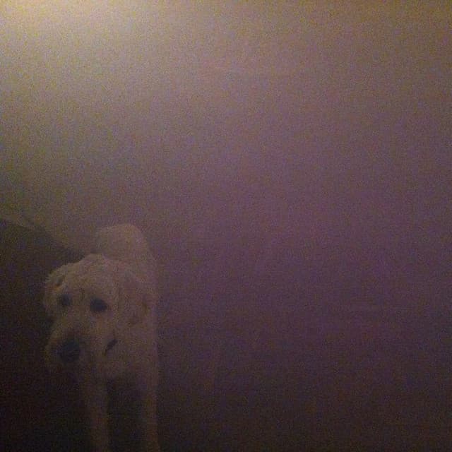 Nassau - Richard Youngs Remix cover art