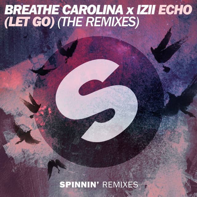 ECHO (LET GO) - Radio Remix cover art