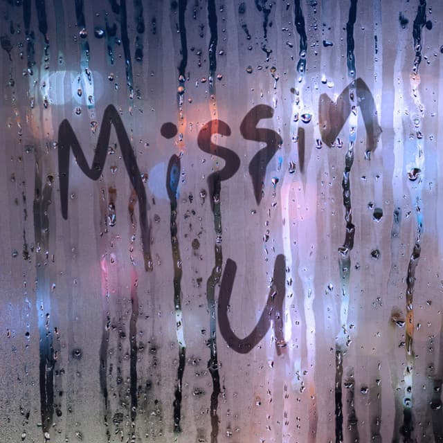 Missin U [Dub Mixes] cover art