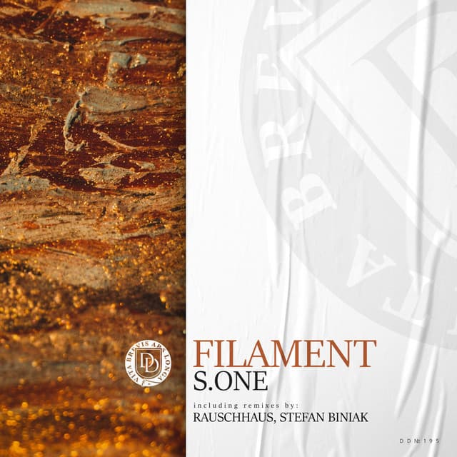 Filament - Rauschhaus Remix cover art