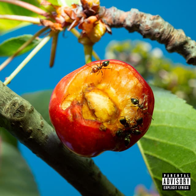 TERAPIA cover art