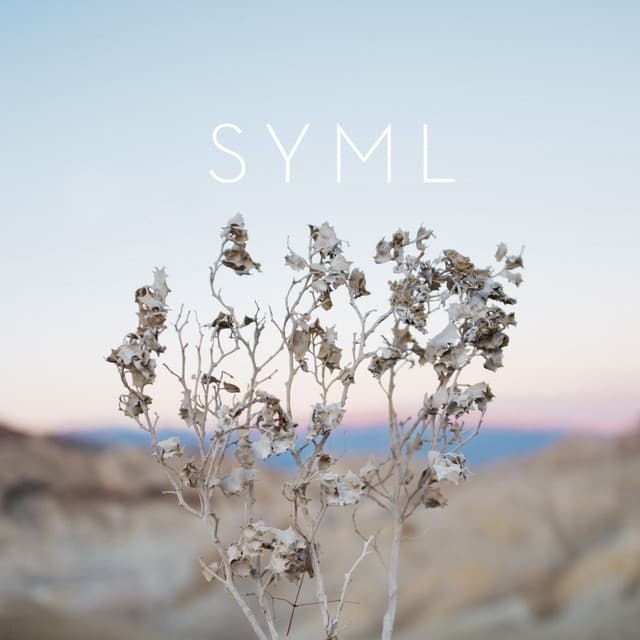 Girl cover art