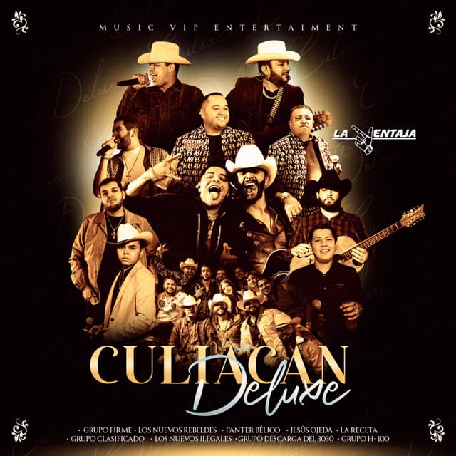 Blindajes Peña (En Vivo) cover art