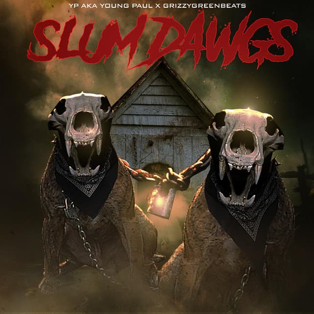 WARNING BEWARE OF DAWGS cover art