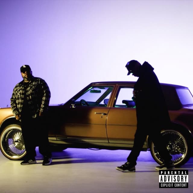 Vogues cover art