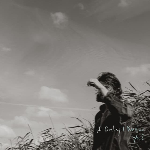 If Only I Knew, Pt. 2 cover art