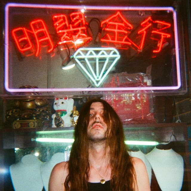 DiVincenzo cover art