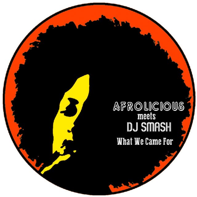 What We Came For - DJ Smash Remix cover art