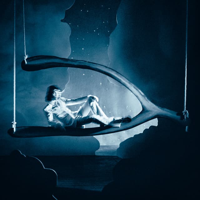 Moths cover art