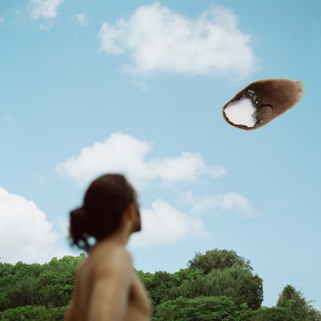 Belong in the Sun cover art