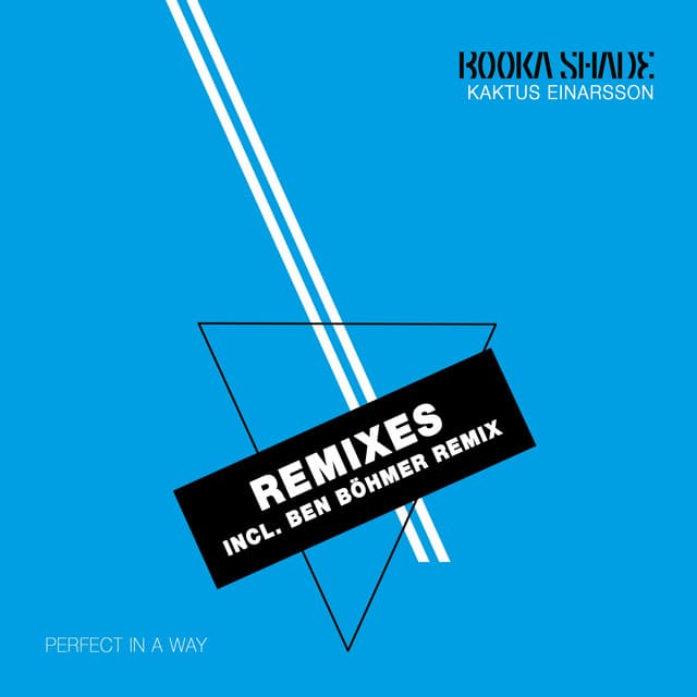 Perfect in a Way - Kaktus Einarsson Rework cover art