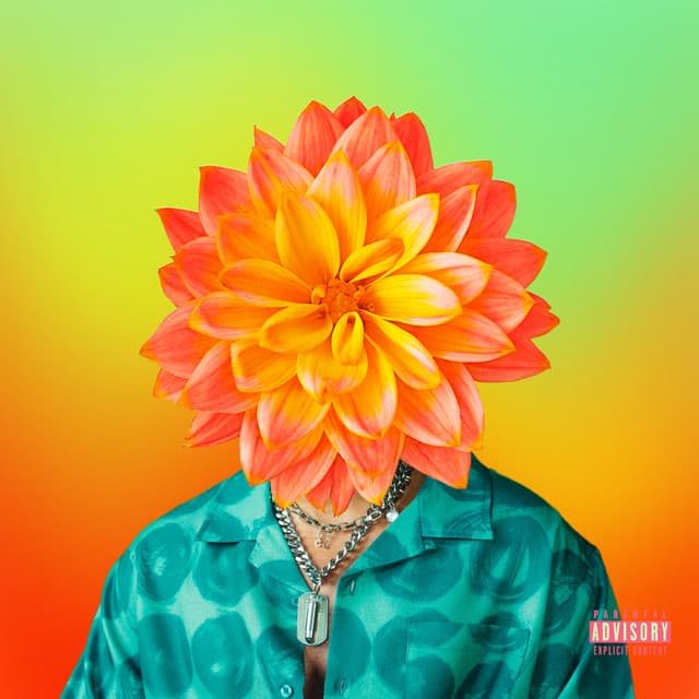Neck Up (feat. Bairi & Dende) cover art