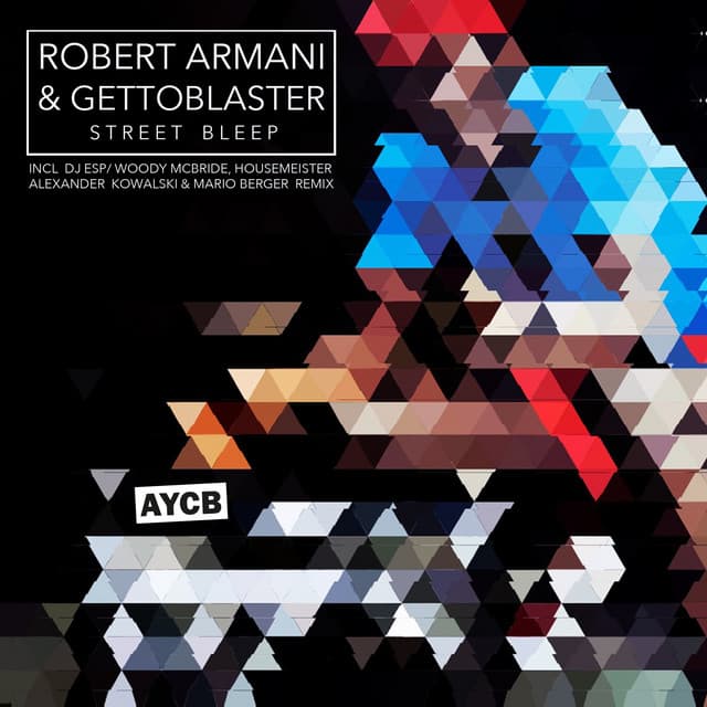 Blotter Paper - Alexander Kowalski & Mario Berger Remix cover art
