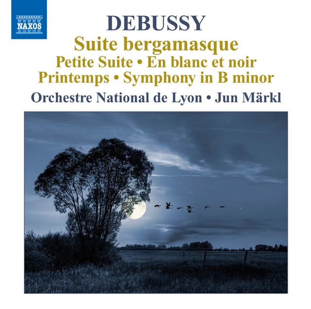 Symphony in B Minor (arr. T. Finno for orchestra): II. Un poco lento, cantabile cover art