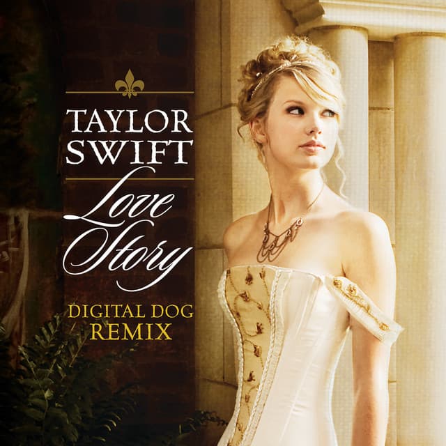 Love Story - Digital Dog Remix cover art
