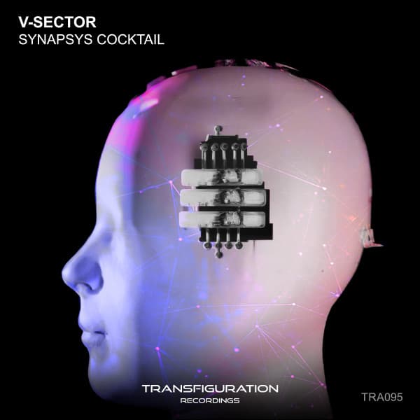 V-Sector