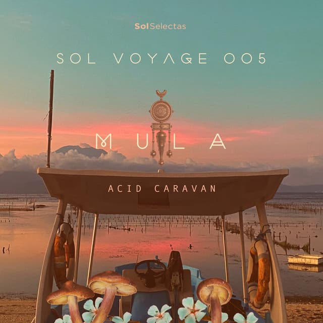 Sol Voyage 005 - Acid Caravan (DJ Mix) cover art