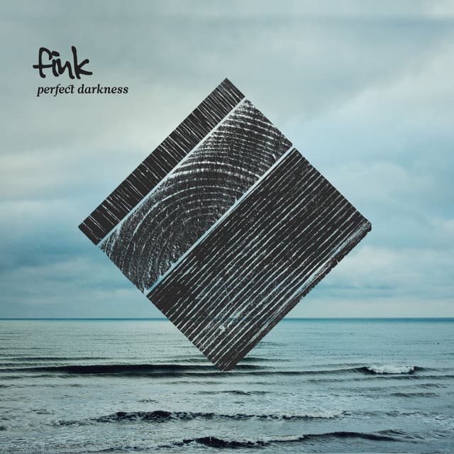 Perfect Darkness cover art