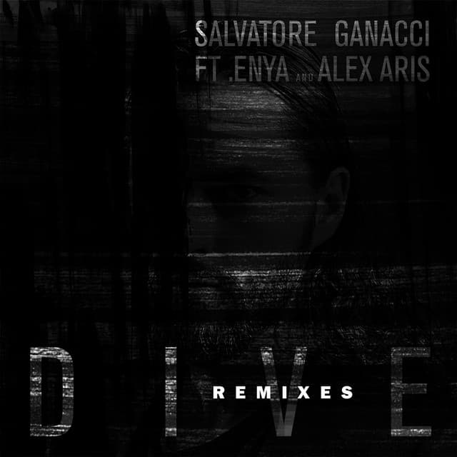 Dive - Sean Turk Remix cover art