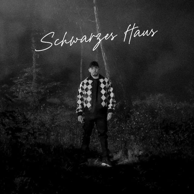REGEN AUF DER FAHRBAHN cover art