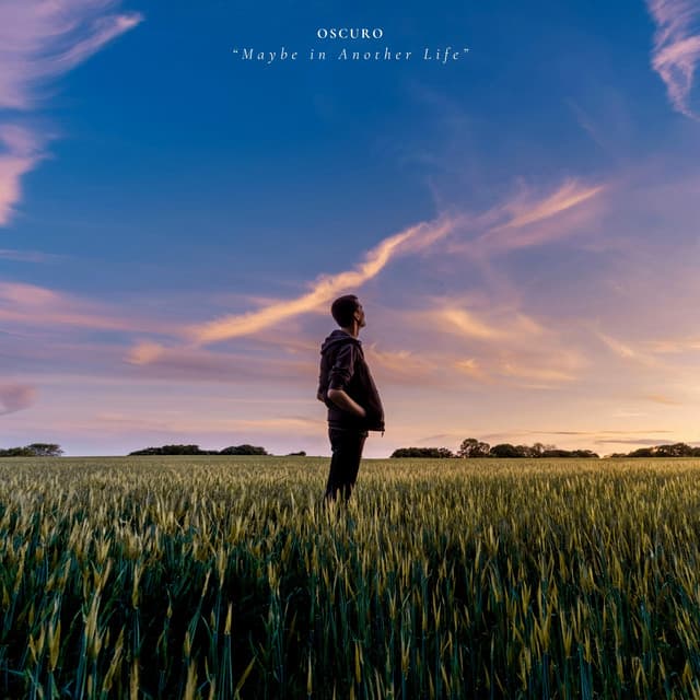 Maybe In Another Life cover art