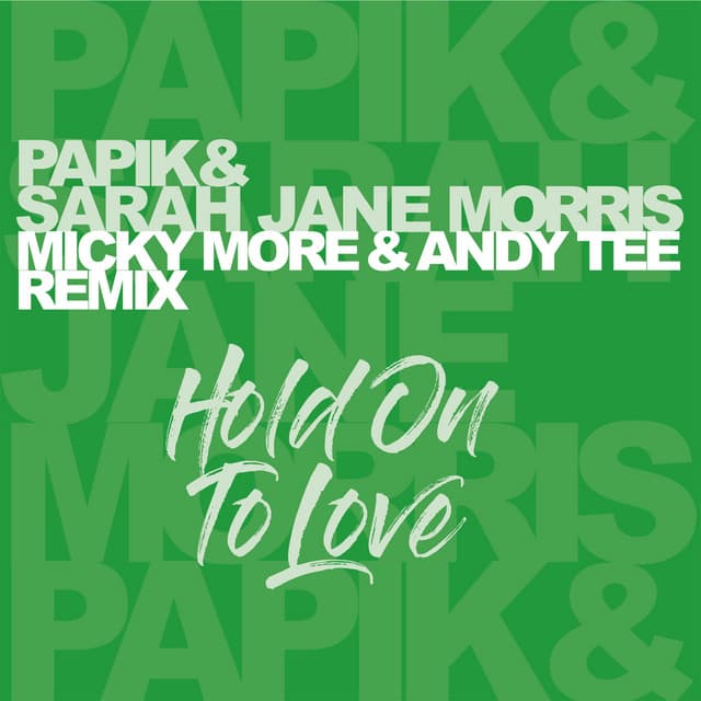 Hold On To Love - Micky More & Andy Tee Remix Radio Edit cover art