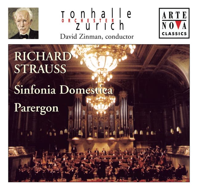 Sinfonia Domestica, Op. 53: III. Wiegenlied: Mäßig langsam cover art