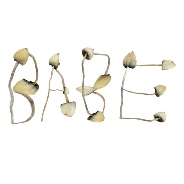 Mushroom cover art
