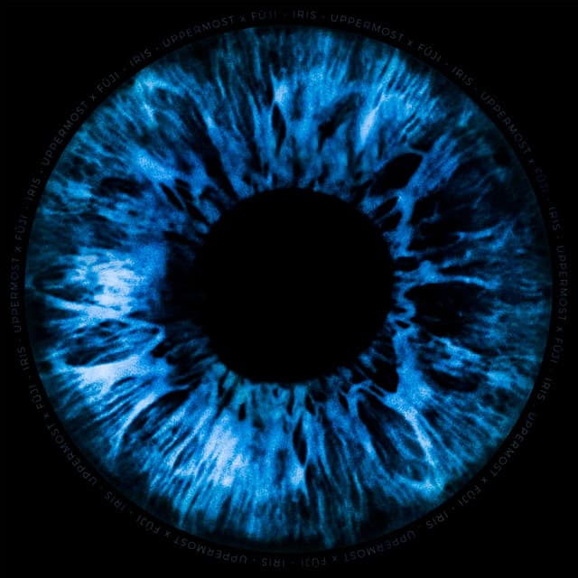 Iris cover art