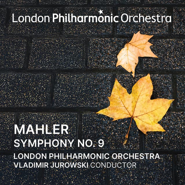 Symphony No. 9: I. Andante comodo cover art