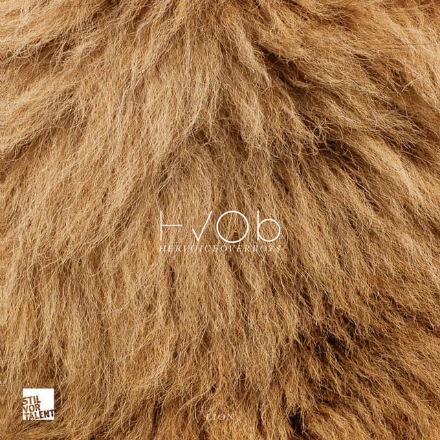 Lion - Stimming Remix cover art