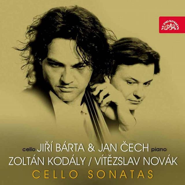 Sonata for Solo Cello in B Minor, Op. 8: I. Allegro maestoso, ma appassionato cover art