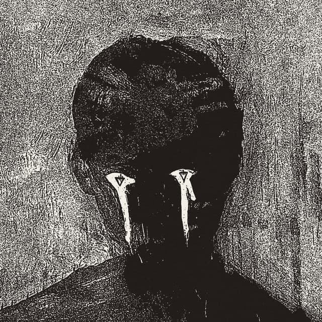Salt cover art