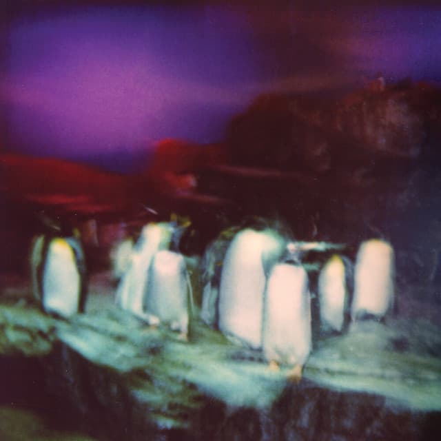 Hot Nights cover art