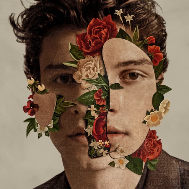 Shawn Mendes (Deluxe) cover art