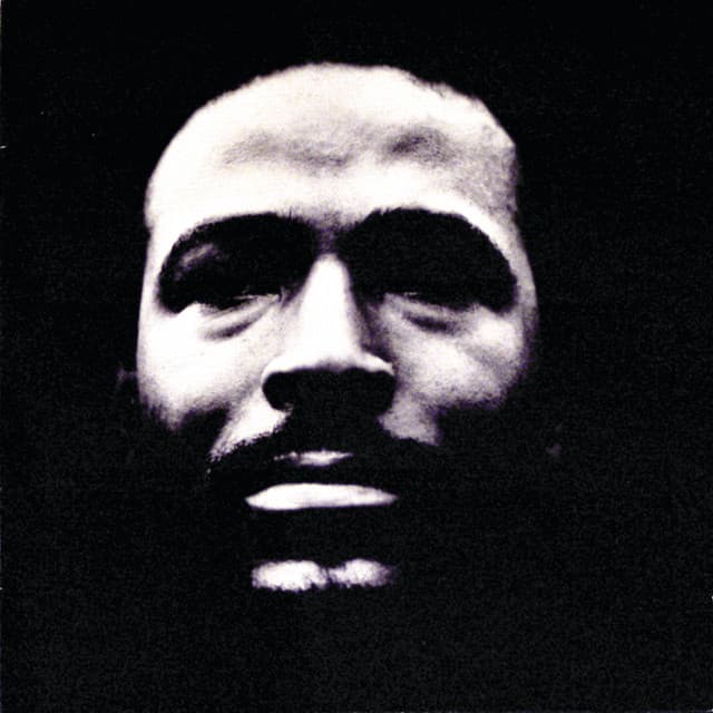 Vulnerable cover art