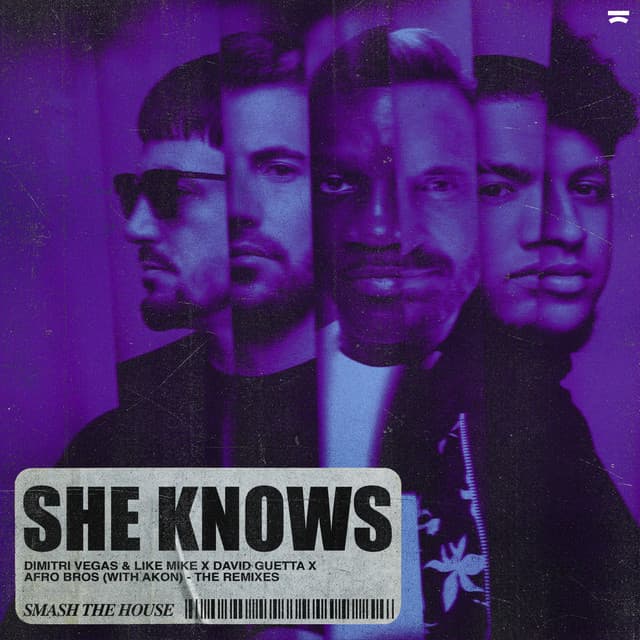 She Knows (with Akon) [The Remixes] cover art