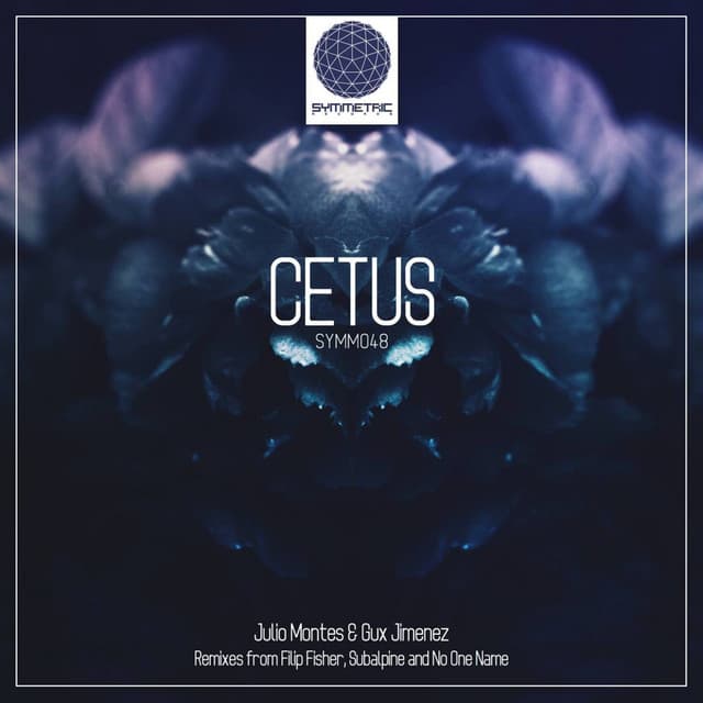 Cetus - Filip Fisher Remix cover art