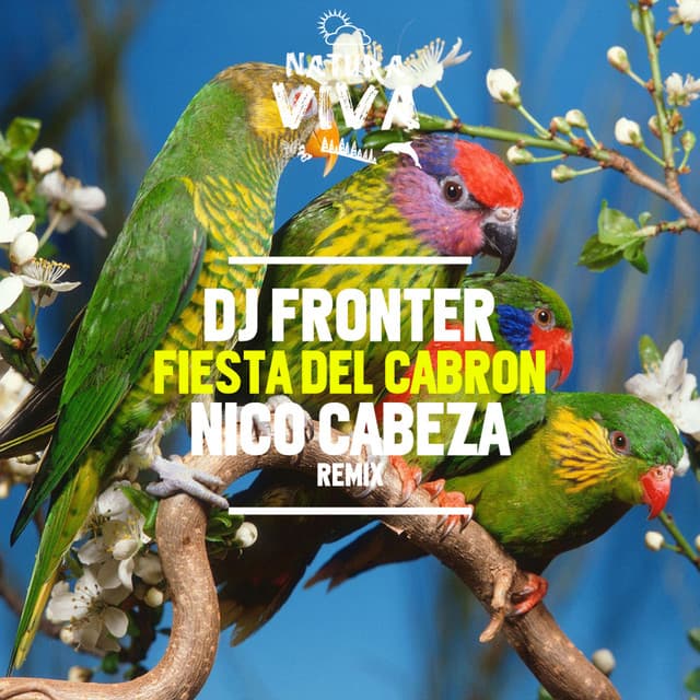 Warning - Nico Cabeza Remix cover art