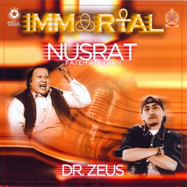 Tere Bin cover art