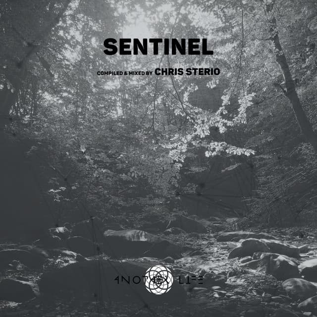 Sentinel (DJ Mix) cover art