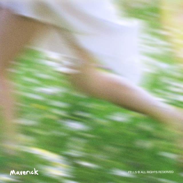 Designer Jeans cover art