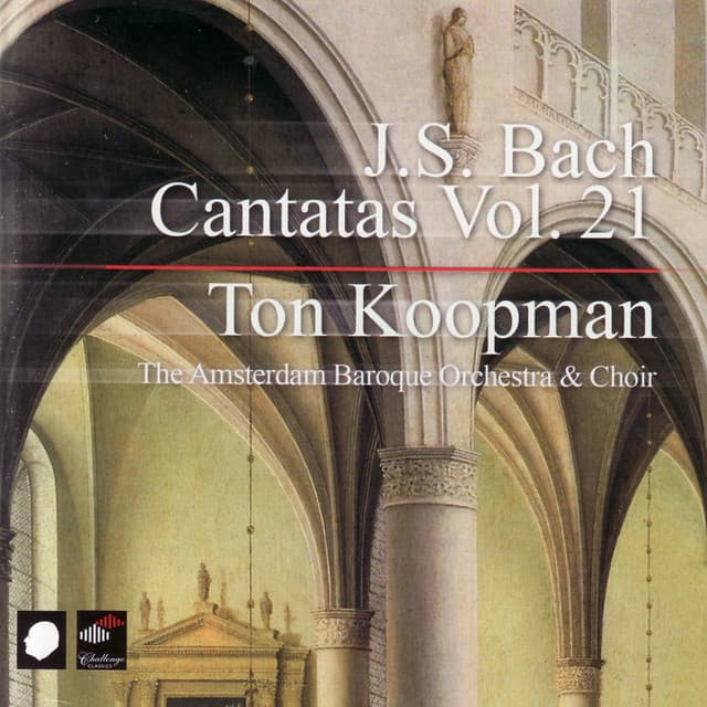Dem Gerechten muß das Licht BWV 195 cover art