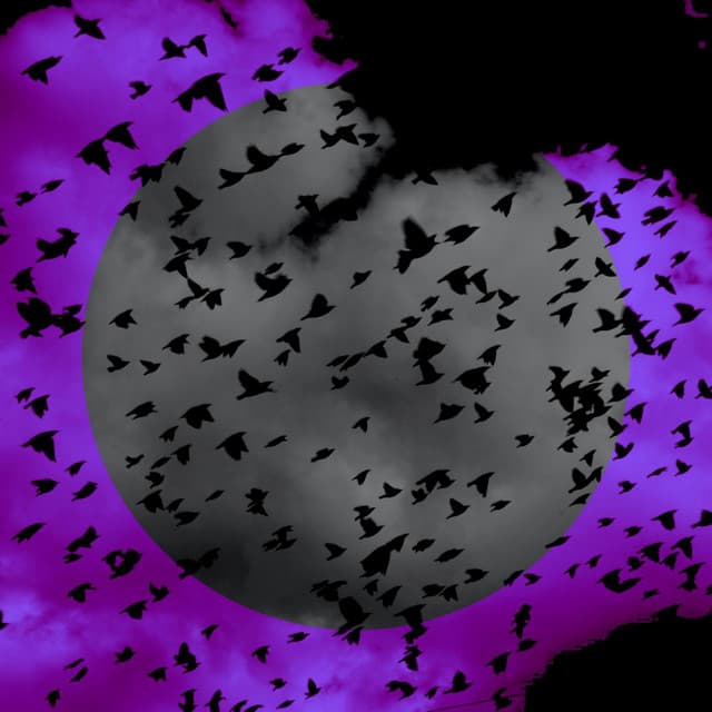 Another Love - Slowed and Muffled Cover cover art
