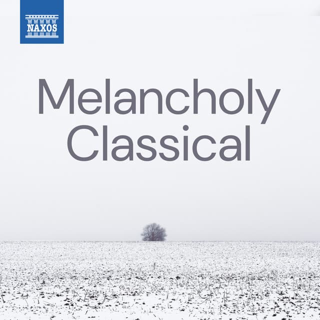 Divertimento No. 2, Op. 24 "Magyar népi dallamok": III. Panaszos ének cover art